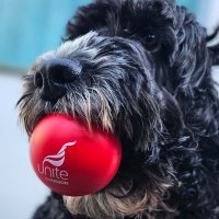 Unite the Union - Trostre Branch (@unitetrostre) 's Twitter Profile Photo Unite the Union - Trostre Branch (@unitetrostre) 's Twitter Profile Photo