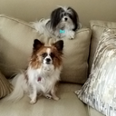 George Palmer - @GeorgePalm73237 - Twitter