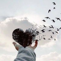 صالح (@sa23526887) 's Twitter Profile