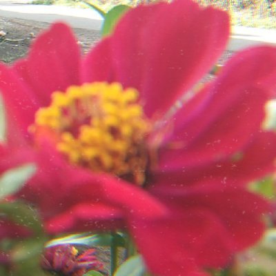 _erynfleorrr's profile picture. Lets be moots gais! Jaminan 100% follback secepatnya. Boleh protes kalo gak aku follback😉