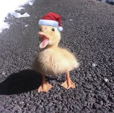 Slaxwyd_'s profile picture. 14 👑/Keyboard and Mouse/ Console Player/Content Creator/ Conpetitive player