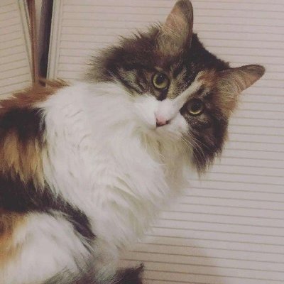 justpasser2345's profile picture. 