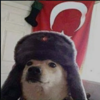 Doruk (@dorukefe2007) 's Twitter Profile