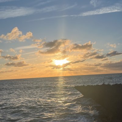 intzniste33's profile picture. 