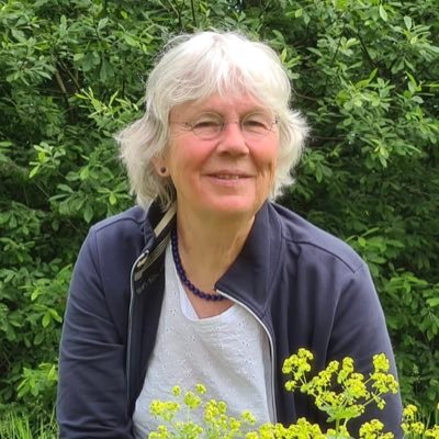 Raadslid @CDAWaddinxveen,voorheen directeur MOZ-Art Zuidplas, pkn, uitvaartbegeleider, buitenmens, fietsfanaat