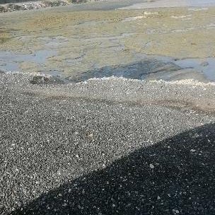 Bahrainusif's profile picture. 