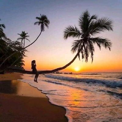 we make your best vacation come true! Sri Lanka Vacation Tours and Travels, One of the Best luxury Tour Operators, and Travel Agency in Sri Lanka.