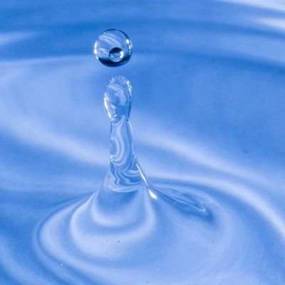 FxZarvi62148's profile picture. 