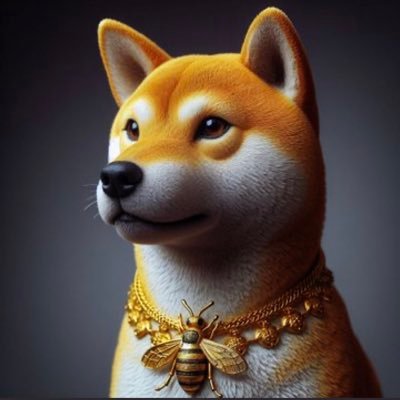 dogebee75833's profile picture. DJfJXVA8Z285D9ob8LJeW2TRuz1cRr4SNd