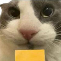 AndreiG11 (@andreig1126449) 's Twitter Profile