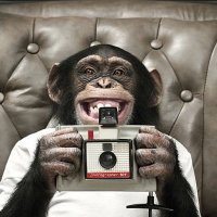 Steve Teratsia 🇪🇺 📷 🎣 🎸 (@steveteratsia) 's Twitter Profile Photo Steve Teratsia 🇪🇺 📷 🎣 🎸 (@steveteratsia) 's Twitter Profile Photo
