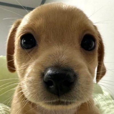 hwikkki's profile picture. 