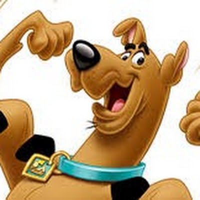 williampedrocha's profile picture. 