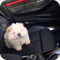 Sleepi (@sleepi_solana) 's Twitter Profile