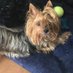 Beni (@waldman_barbara) Twitter profile photo Beni (@waldman_barbara) Twitter profile photo