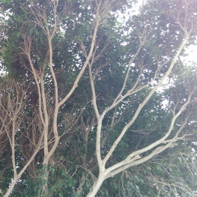 AnneGoosse34025's profile picture. 