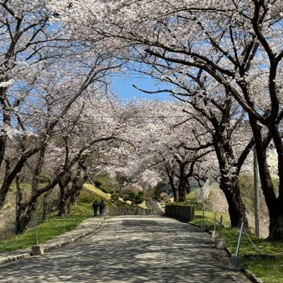 tlfrPvPtnZfiv1G's profile picture. 東京生まれ東京育ち、18歳から秋田。New York留学、胸部外科教授、肺癌の外科が専門。秋田大学医学部附属病院長を経て、2024年4月から学長。内容は個人的なことで、個人の見解です。#秋田県 #大学 #秋田市 #医学部 #医師 #東北 #秋田大学 #秋大医 #院長 #大学病院 #東京 #学長 #外科 #呼吸器外科