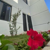 ☕️ (@mycooffe) 's Twitter Profile