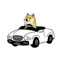 CryptoDamon (@cryptodamon_) 's Twitter Profile
