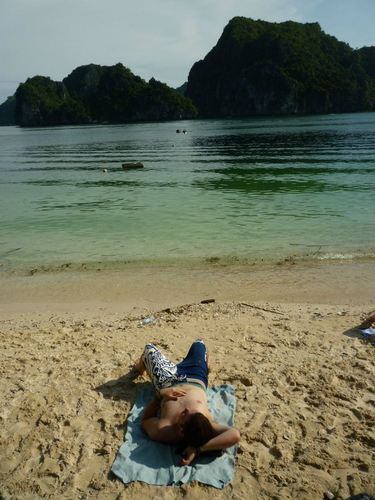 tweetingcroft's profile picture. 