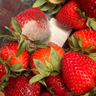 zhennideduyin's profile picture. 