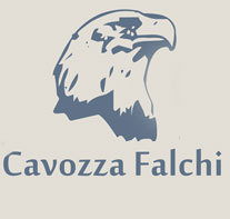 CavozzaFalchi's profile picture. Marco Cavozza Ha sempre avuto l’idea che falconieri si nasce, non si diventa.E’ una passione alla quale si dedica con rispetto da più di trent’anni