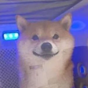 croc_barkway's profile picture. 