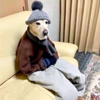 aisaoariel's profile picture. @mayaramorretes ❤️ | Eng de Software | Redes 💻