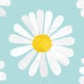 skK115Km's profile picture. お取引終了後DM削除フォロー解除🙆🏻‍♀️🙏