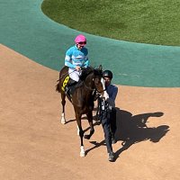 あすたぬき (@_asutanuki_) 's Twitter Profile