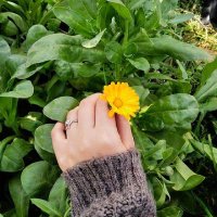 حنونه🐣♥️ (@hananessam1011) Twitter profile photo