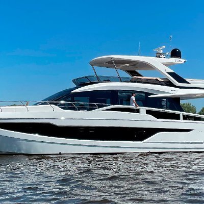 BlockchainnBird's profile picture. 