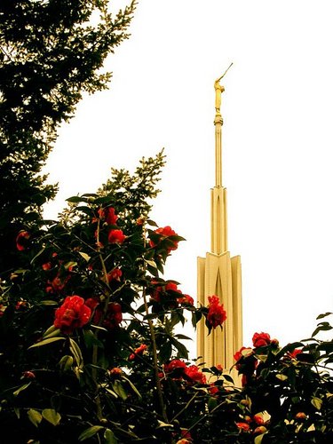 ldsconfweekly's profile picture. Unofficial group of saints trying to make conference the walk and talk of the next six months.