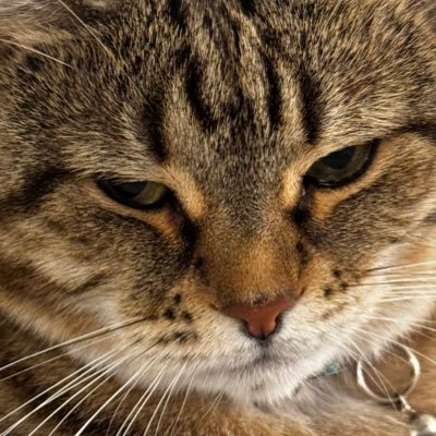 LoganDrawsさんのプロフィール画像
