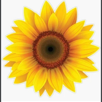 Diana Sweet (@deedeecarland) 's Twitter Profile