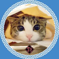 にゃぱねっと♂ (@288os) 's Twitter Profile Photo にゃぱねっと♂ (@288os) 's Twitter Profile Photo