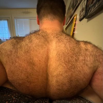 Back Hair Bear