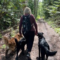 Silke Yardley (@silkeyardley) Twitter profile photo