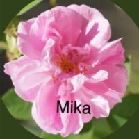 Mika 미카 0725❁❀✿✾(@Mika07253) 's Twitter Profile Photo