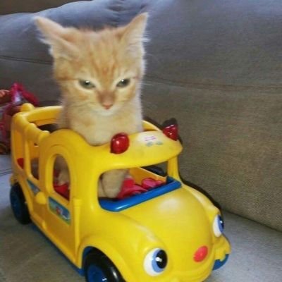 gongche7's profile picture. gongche7@gmail.com 장르팔 비추