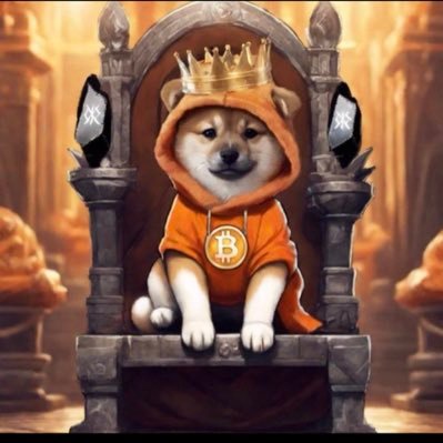 DOGGOTOTHEMOOO's profile picture. 