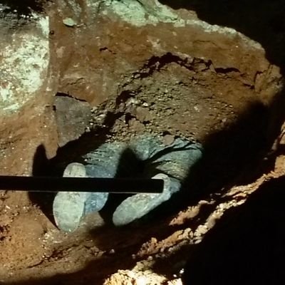 sinnerrrsun's profile picture. ♀️