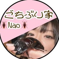 🪳ごちぶり家🪳Naaaaaaa (@tamamushi_tamac) 's Twitter Profile