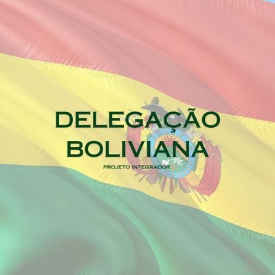Perfil para o Projeto Integrador do 5 semestre de Relações Internacionais da Universidade de Sorocaba.