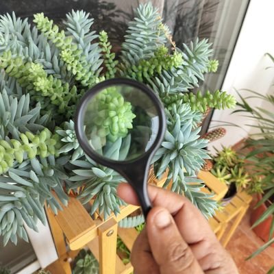 Daily micro science bites—explaining the world, one fact at a time!
Follow Back