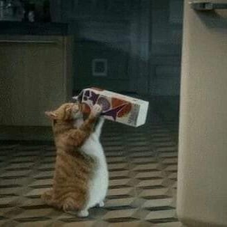 Matchaforfun's profile picture. Follow me and I will follow you