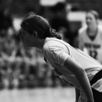 Shelby Tortorici (@shay14dp) 's Twitter Profile