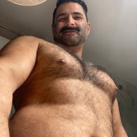 jamthebigbear (@jamthebigbear) 's Twitter Profile