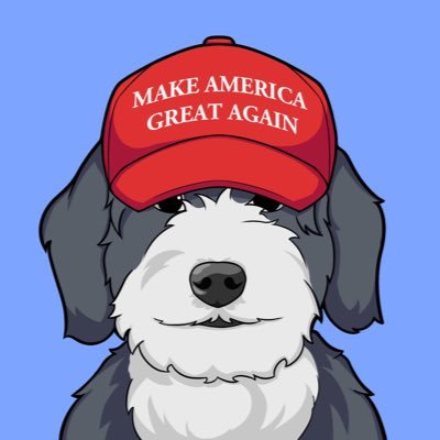 MAGA the movement but with Dog’s on the Blockchain 🇺🇸🐕 https://t.co/LU1LgRmglf