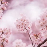 あい (@ai30320) 's Twitter Profile